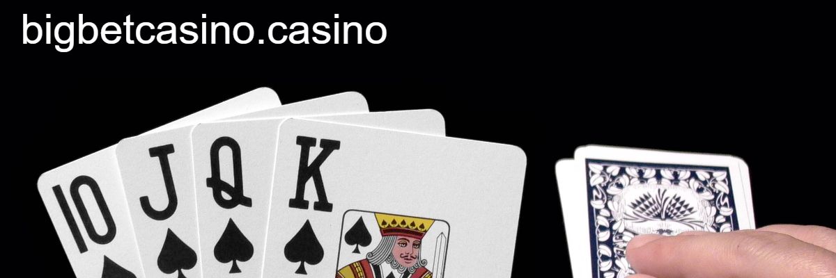 bigbetcasino.casino